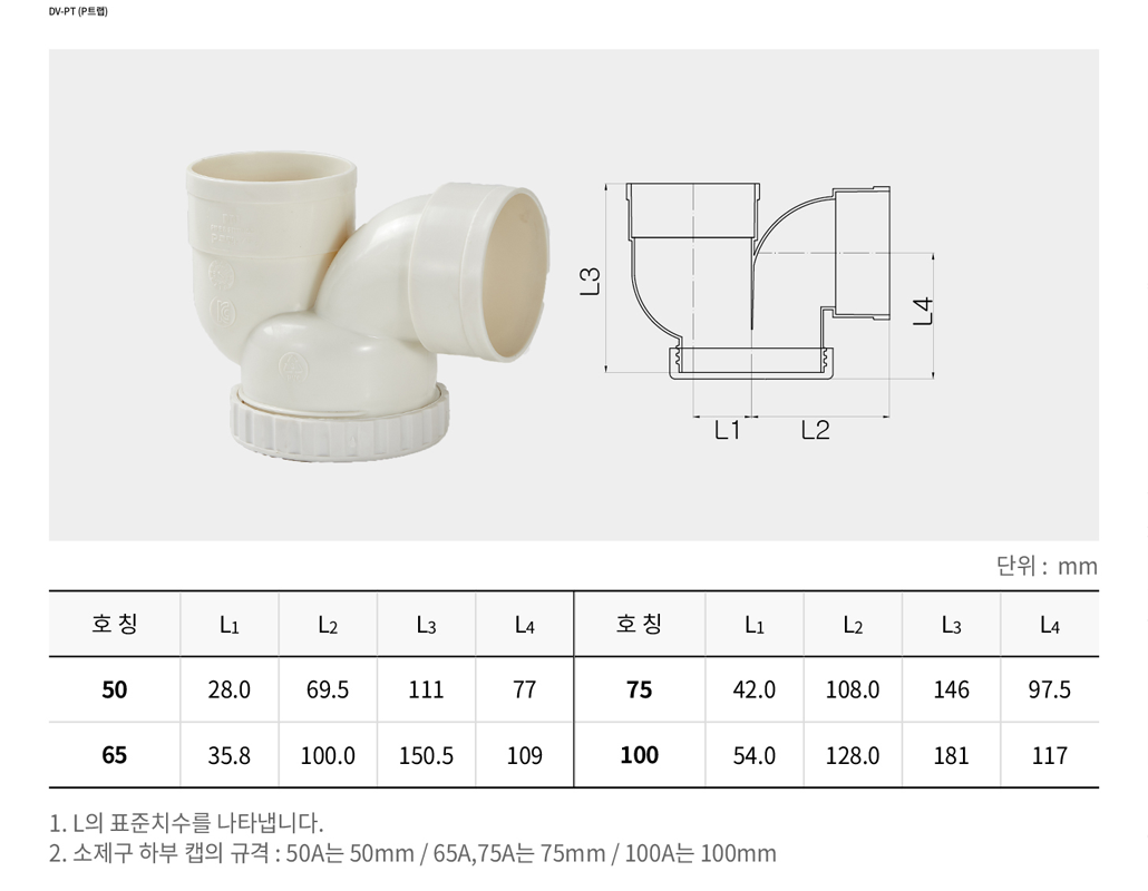 DV-PT (P트랩)